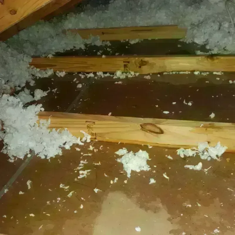 Attic Water Damage in Fort Hood, TX